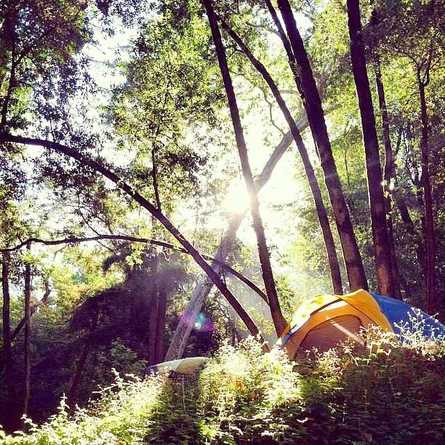 10259702_510983762385850_9103666246792900373_n