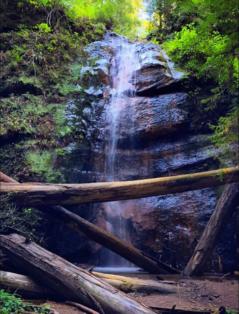 11401256_510986825718877_4711463814027111365_n