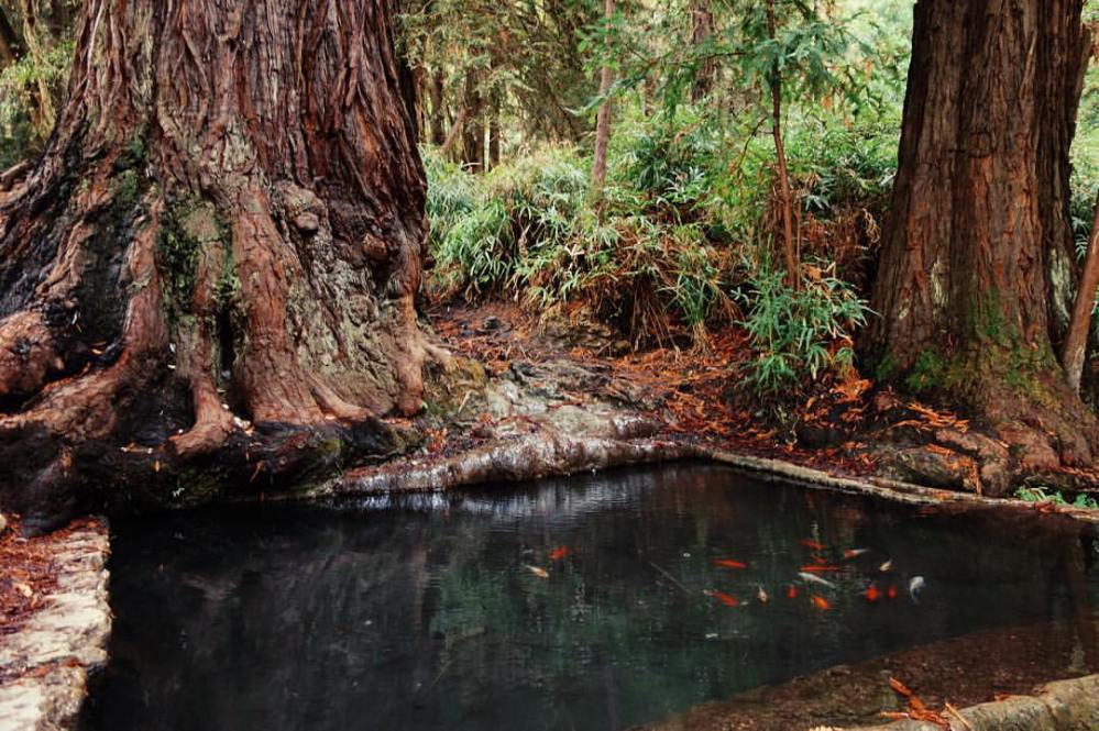 12291160_578929628924596_4285784652776468405_o