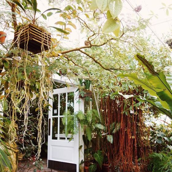 12479150_666684906803373_207804959_n