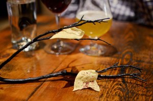 Chips on a branch Trokay Truckee