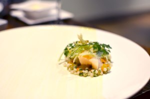 Blue Crab, Taylor Bay Scallop, Sea Urchin, A Taste of the Sea, Fennel, Meyer Lemon Trokay Truckee