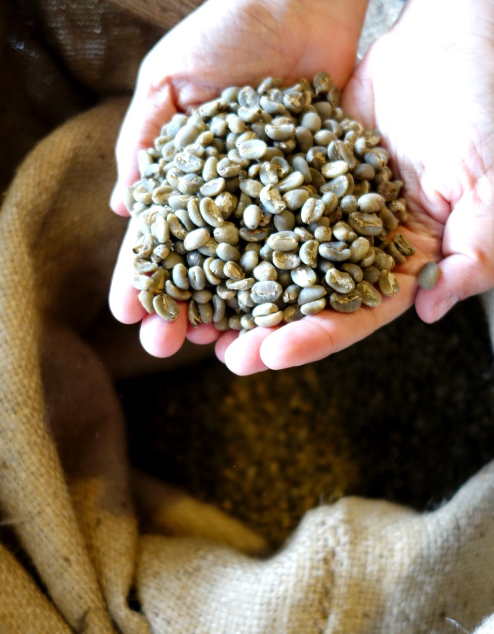 Petaluma Coffee & Tea