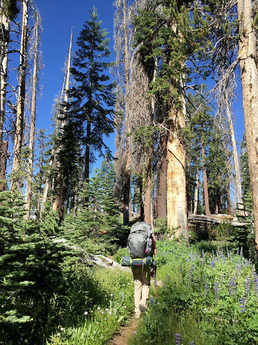 File Jul 11, 8 32 11 PM.jpeg