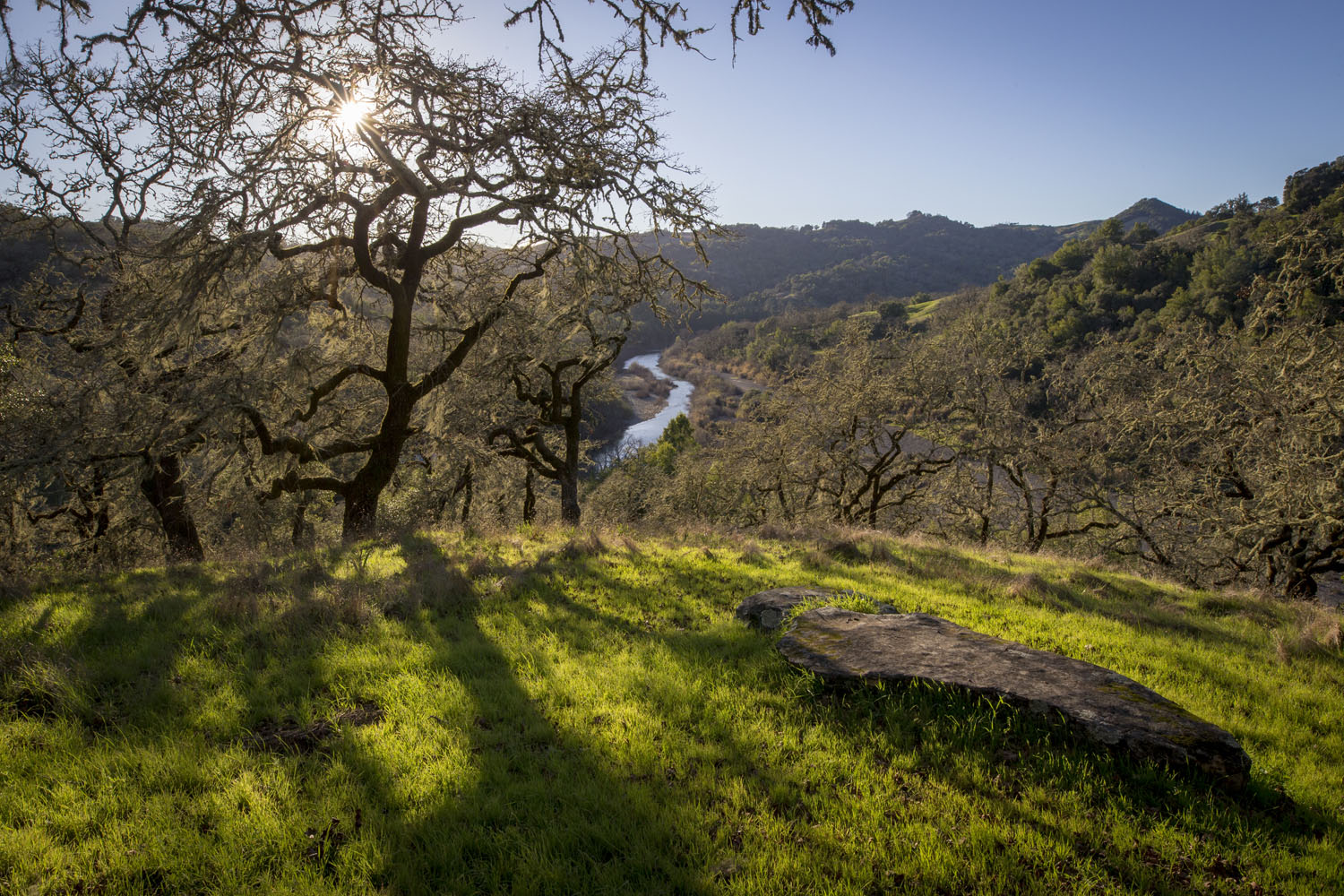 Sutro Wine Co. Hike Virtual Tasting