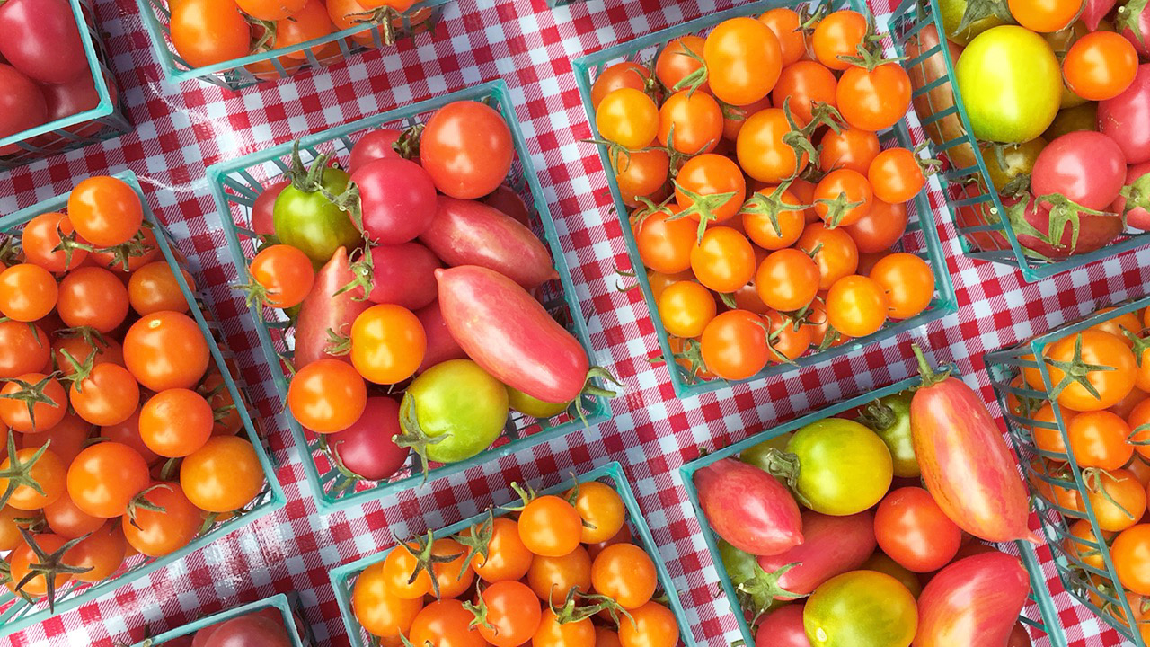 File Aug 09, 4 02 58 PM