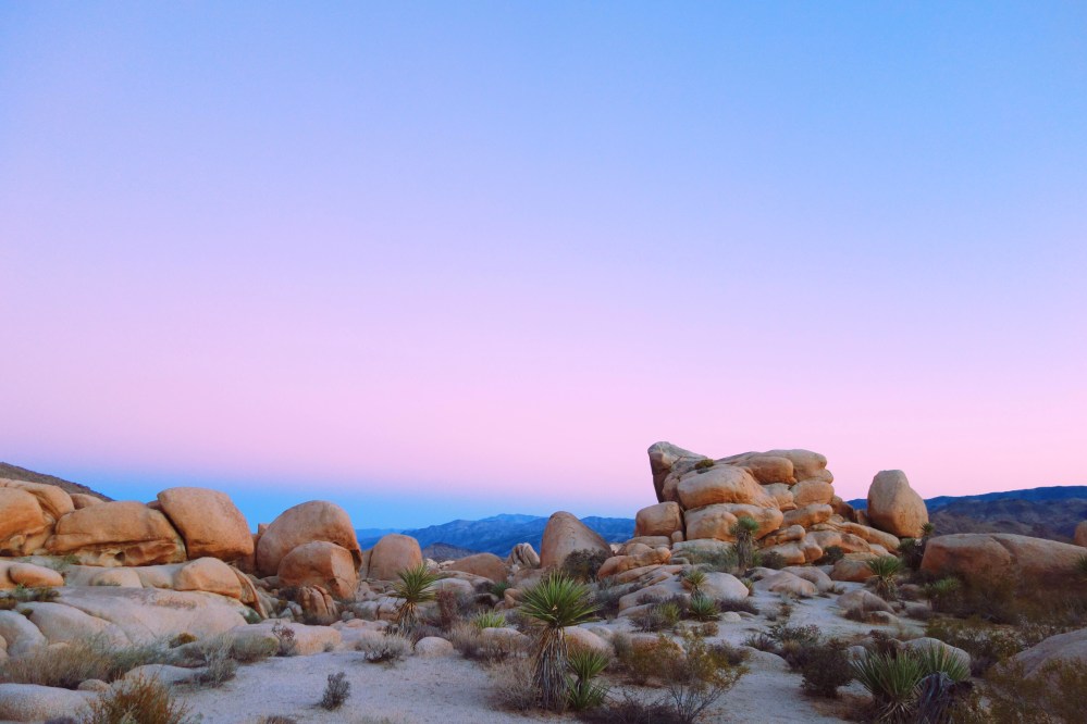 Processed with VSCO with kk2 preset