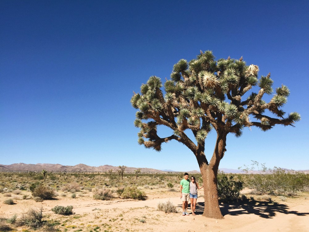 Processed with VSCO with a6 preset