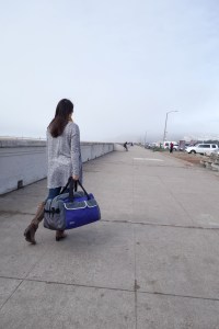 Bay Area Buzz Local Holiday Gift Guide Timbuk2 Bag