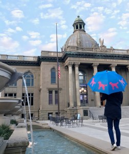 SF Umbrella Company Doodle Umbrella