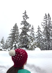 foggy city knits beanie