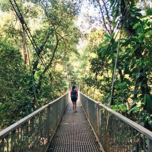 Mossman Gorge Rainforest Australia