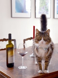 villa ragazzi napa winery