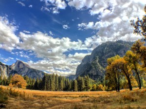 Sentinel Meadow & Cook's Meadow Loop Yosemite