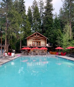 Evergreen Lodge Yosemite pool
