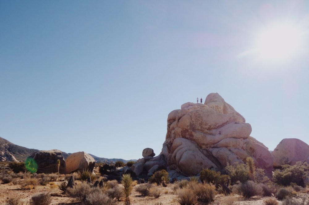 Joshua Tree National Park