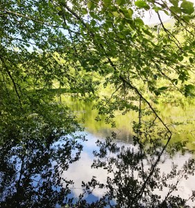 Turtle Back Farm Inn Orcas Island Review