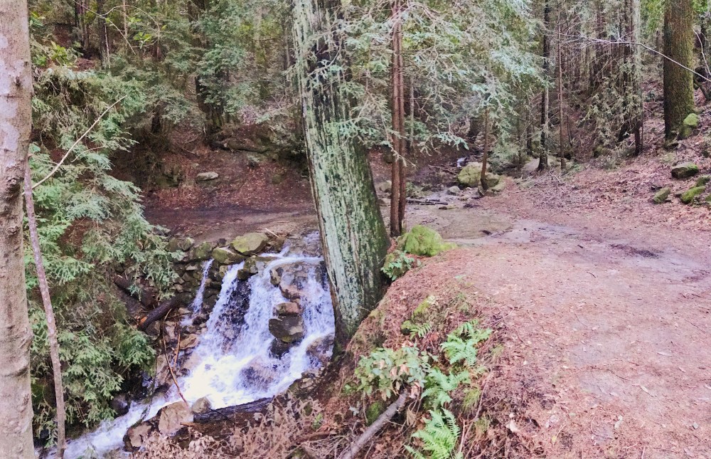 Photo Jan 16, 3 17 18 PM (1)