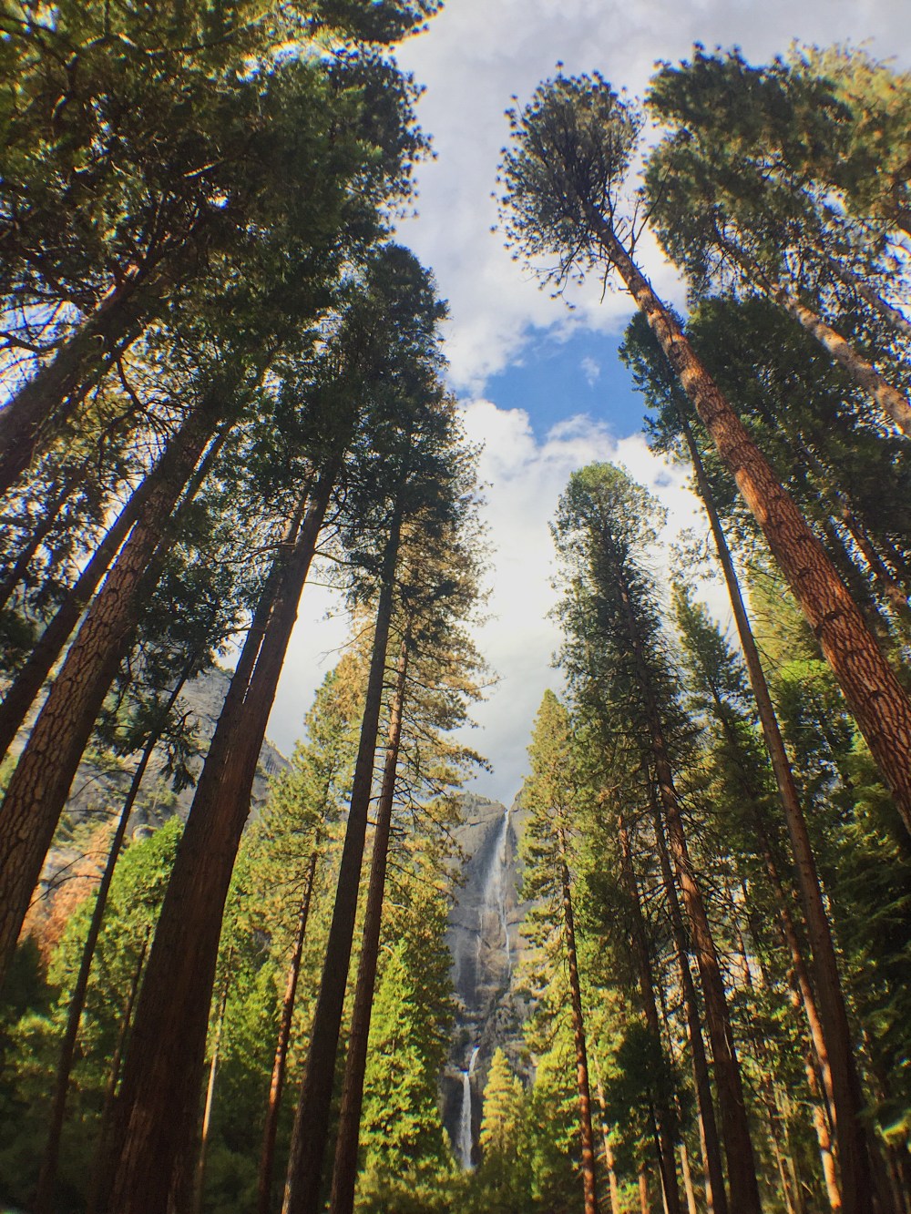 Photo Oct 23, 3 41 37 PM (1)