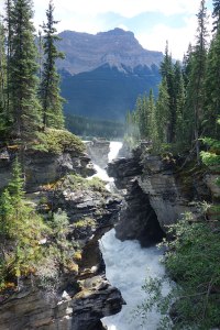 Athbasca falls, Jasper, Alberta, Canada