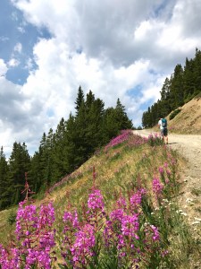 Lake Louise Ski Resort Gondola