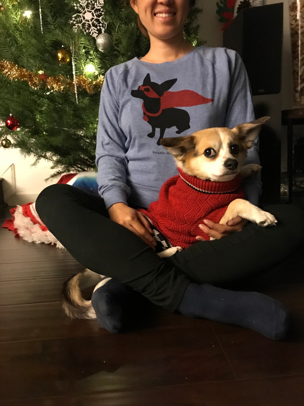 Brindle Market Bay Area Buzz Holiday Gift Guide