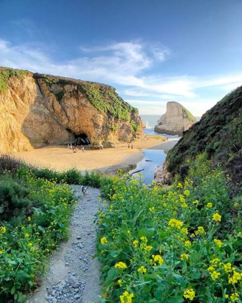 Buzz Favorites- Year 3: Shark Fin Cove