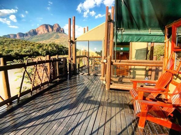 Buzz Favorites- Year 3: South Africa