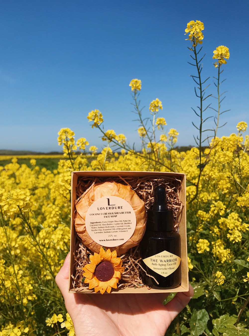 Photo Apr 03, 11 29 33 AM.jpg