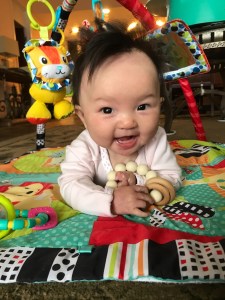 Maui Baby Travel Guide Maui on The Fly Baby Gear Rental Review