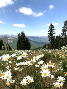 northstar california resort summer hiking