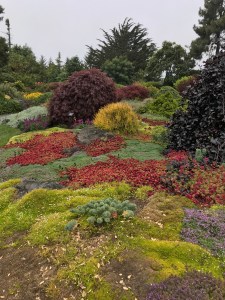 Mendocino Coast Botanical Gardens
