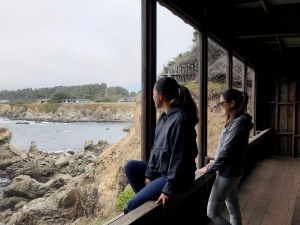 mendocino botanical garden