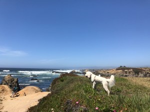 Glass Beach Fort Bragg