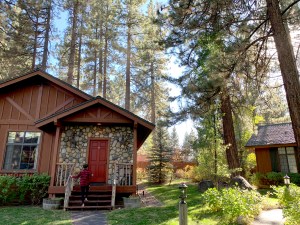 black bear lodge south lake tahoe cabin