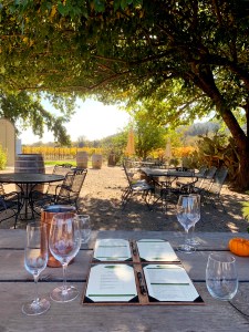 amista vineyards wine road healdsburg