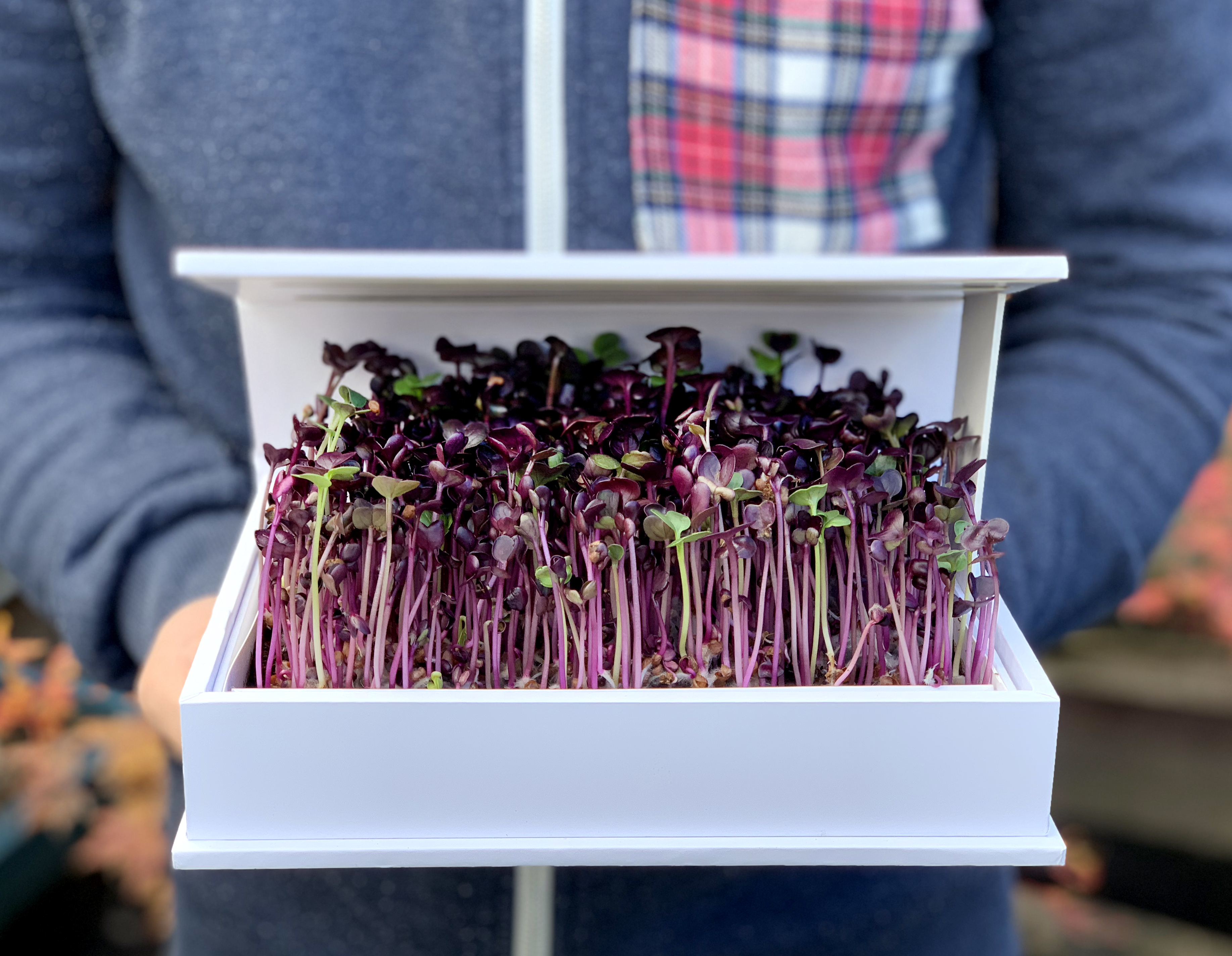 grow book micro greens holiday gift guide