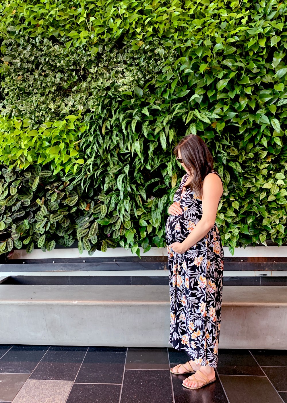 Photo Aug 19, 12 39 58 PM-edit