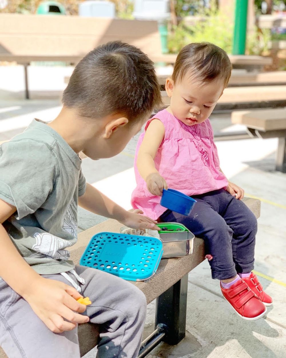 lunchbots reuseable bento box holiday gift guide