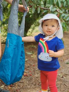 flip and tumble reuseable shopping bags