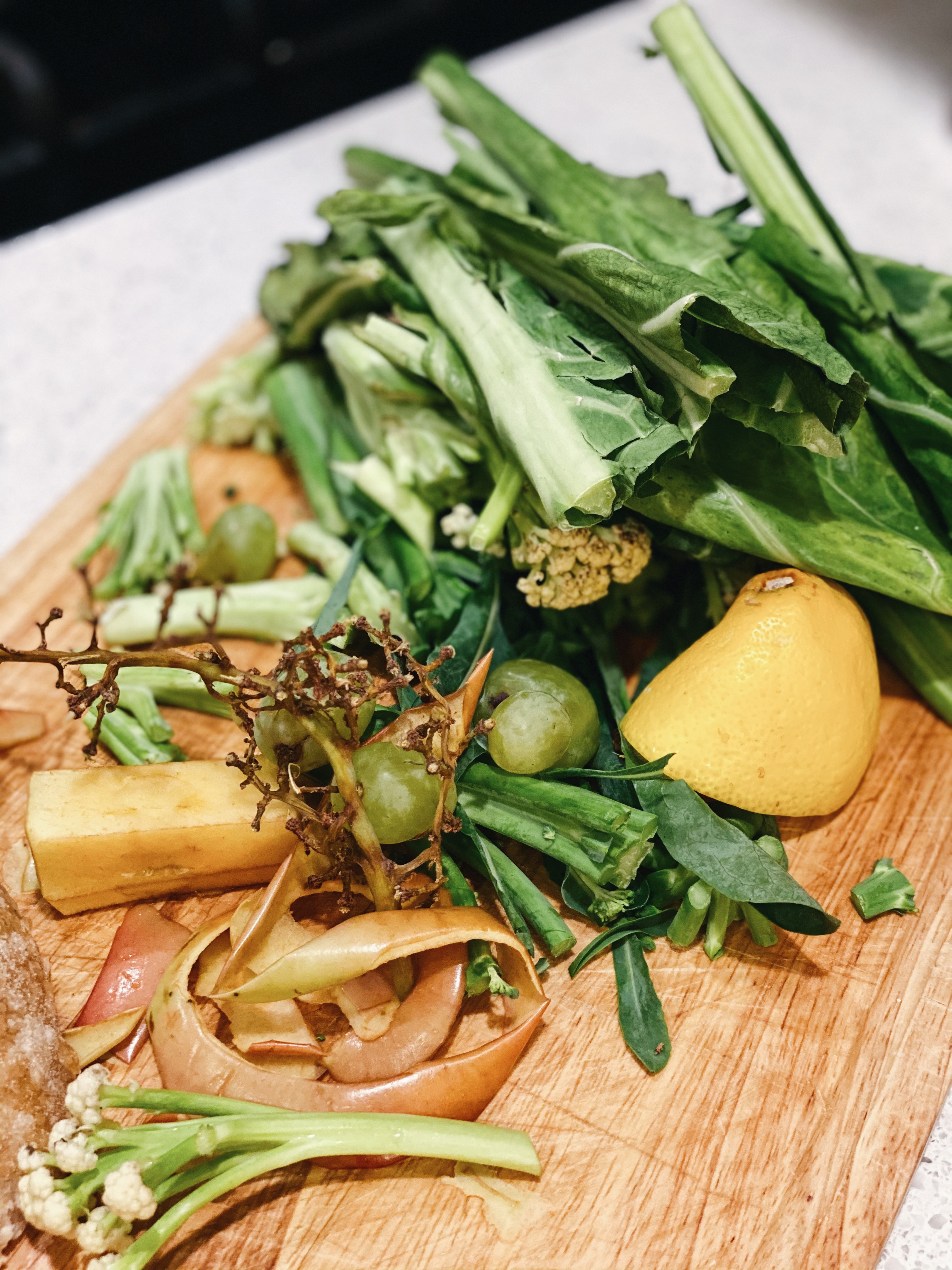 Gardener's Dual Batch Composter Review