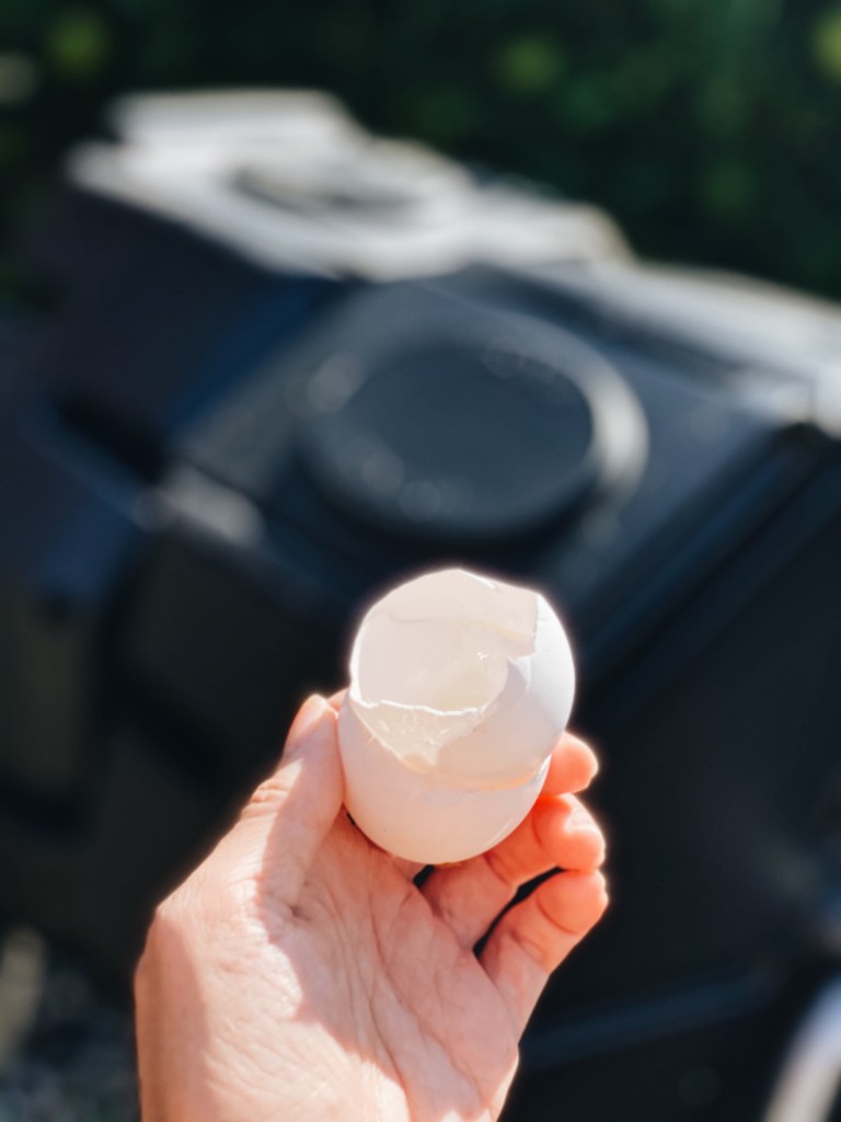 Gardener's Dual Batch Composter Review